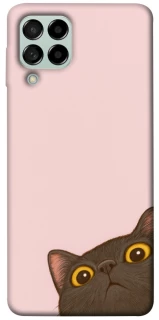 Чохол на Samsung Galaxy M53 5G Peeping cat фото 1 з 1