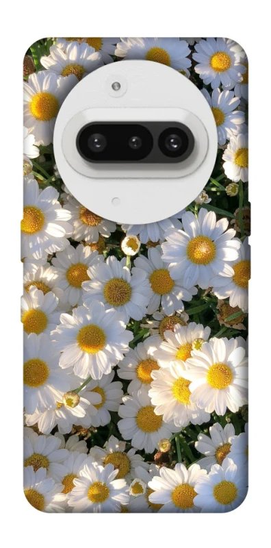 Чехол на Nothing Phone (3a) Поле ромашек фото 1 из 1