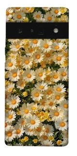 Чехол на Google Pixel 6 Pro Camomile фото 1 из 1