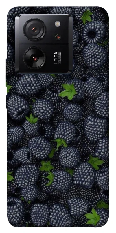 Чехол на Xiaomi 13T Pro Fresh фото 1 из 1