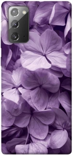 Чохол на Samsung Galaxy Note 20 Floral Symphony фото 1 з 1