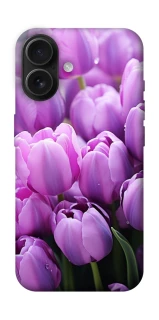 Чехол на Apple iPhone 16 Фиолетовые тюльпаны фото 1 из 1