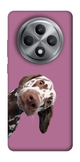 Чехол на Oppo Reno 12 F 4G А что тут фото 1 из 1