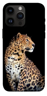 Чохол на Apple iPhone 14 Pro Max (6.7") Leopard v2 фото 1 з 1