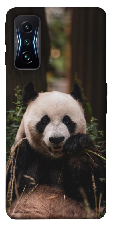 Чехол на Xiaomi Poco F4 GT Панда фото 1 из 1