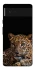 Чохол на Google Pixel 6 Leopard v4 фото 1 з 1