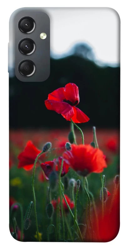 Чехол на Samsung Galaxy A24 4G Мак фото 1 из 1