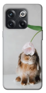 Чохол на OnePlus 10T Bunny фото 1 з 1