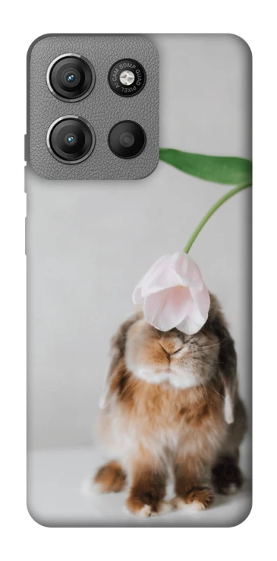 Чохол на Motorola Moto G15 Power Bunny фото 1 з 1