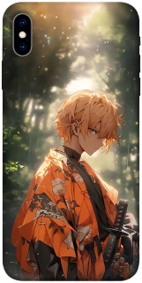 Чехол на Apple iPhone X (5.8") Zenitsu фото 1 из 1