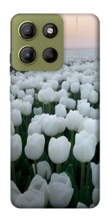 Чехол на Motorola Moto G15 4G Flowers v1 фото 1 Чехол на Motorola Moto G15 4G Flowers v1 фото 1 из 1