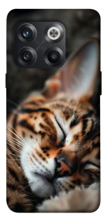Чохол на OnePlus 10T Cat paws фото 1 з 1