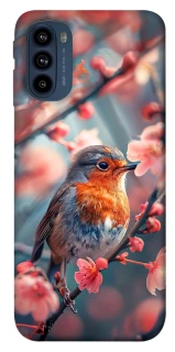 Чохол на Motorola Moto G41 Birdie фото 1 з 1