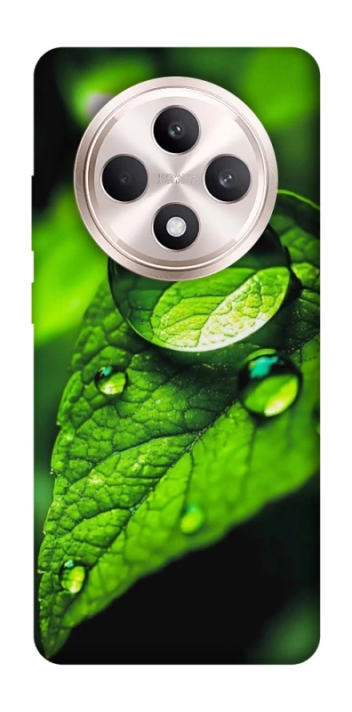 Чехол на Oppo Reno 12 F 4G/5G Flowers v16 фото 1 из 1