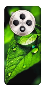 Чохол на Oppo Reno 12 F 4G/5G Flowers v16 фото 1 з 1