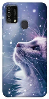 Чехол на Samsung Galaxy M21s Snow cat фото 1 из 1