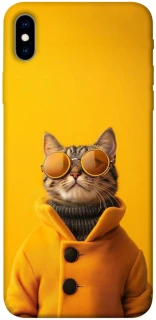 Чохол на Apple iPhone XS Max (6.5") Yellow Glasses фото 1 з 1