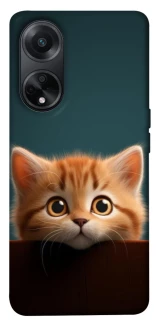 Чохол на Oppo A98 Чохол Кошеня фото 1 з 1