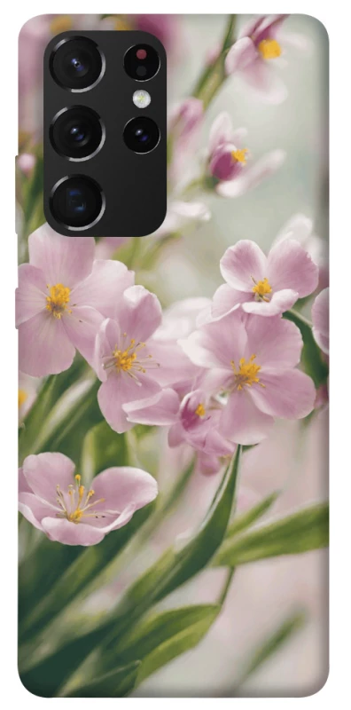 Чехол на Samsung Galaxy S21 Ultra Spring фото 1 из 1