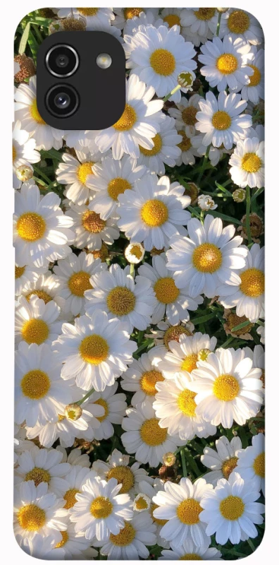 Чохол на Samsung Galaxy A03 Поле ромашок фото 1 з 1