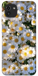 Чохол на Samsung Galaxy A03 Поле ромашок фото 1 з 1