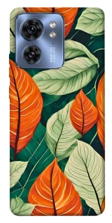 Чохол на Motorola Edge 40 Leaves фото 1 з 1