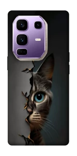 Чехол на Infinix Note 50 Pro+ Кот-подглядыватель v2 фото 1 из 1