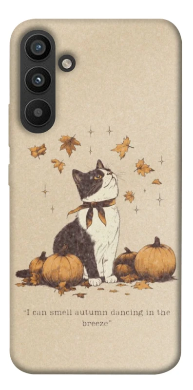 Чохол на Samsung Galaxy A34 5G Autumn vibes ver.3 фото 1 з 1