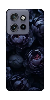 Чохол на Motorola Edge 50 Neo Sunny Snowdrops фото 1 з 1