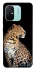 Чехол на Xiaomi Redmi 12C / Poco C55 Leopard v2 фото 1 из 1