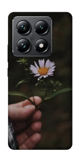 Чехол на Xiaomi 14T Pro Ромашка v4 фото 1 из 1