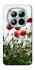 Чохол на Xiaomi Redmi Note 15 Pro+ 5G Поле маків фото 1 з 1