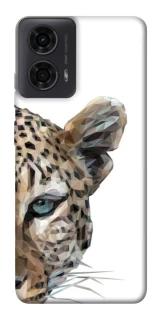 Чехол на Motorola Moto G24 Leopard Art v2 фото 1 из 1