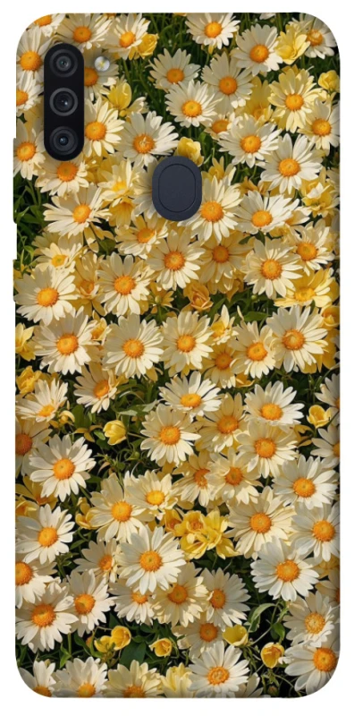 Чохол на Samsung Galaxy M11 Camomile фото 1 з 1