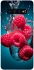 Чохол на Samsung Galaxy S10+ Малинка у воді фото 1 з 1