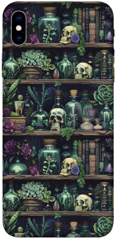 Чохол на Apple iPhone XS Max (6.5") Bookshelf ver.1 фото 1 з 1