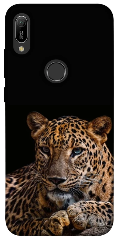 Чехол на Huawei Y6 (2019) Leopard v4 фото 1 из 1