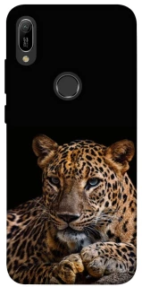 Чехол на Huawei Y6 (2019) Leopard v4 фото 1 из 1