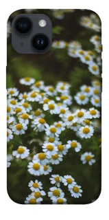 Чехол на Apple iPhone 14 (6.1") Ромашки v13 фото 1 из 1