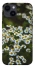 Чехол на Apple iPhone 14 (6.1") Ромашки v13 фото 1 из 1