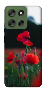 Чехол на Motorola Moto G56 5G Мак фото 1 из 1