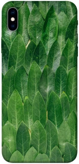 Чохол на Apple iPhone XS Max (6.5") Листя фото 1 з 1