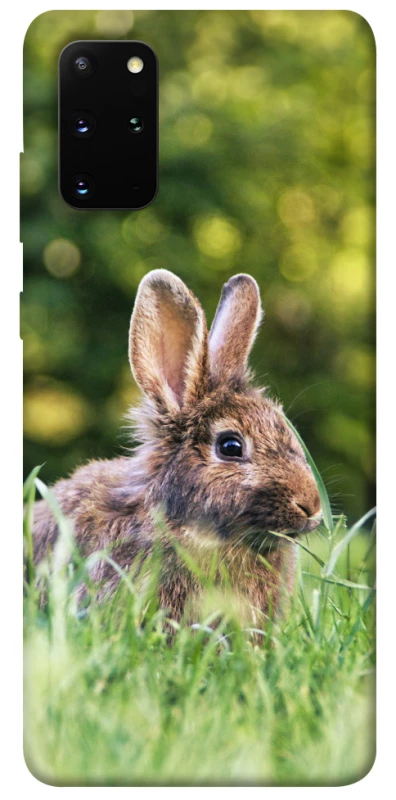 Чохол на Samsung Galaxy S20+ Кролики фото 1 з 1