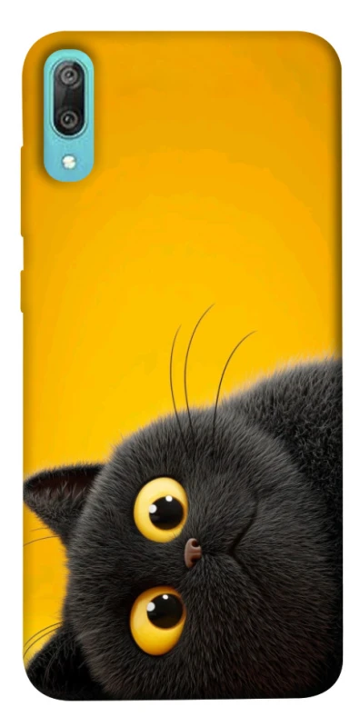 Чохол на Huawei Y6 Pro (2019) This is Cat фото 1 з 1