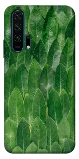 Чохол на Huawei Honor 20 Pro Листя фото 1 з 1