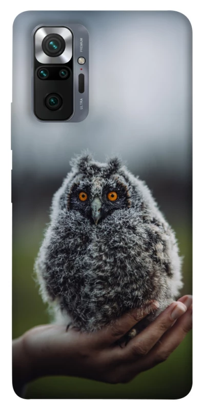 Чохол на Xiaomi Redmi Note 10 Pro Совеня фото 1 з 1