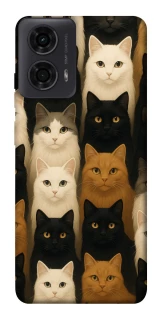 Чохол на Motorola Moto G24 Colorful Cat Collage фото 1 з 1