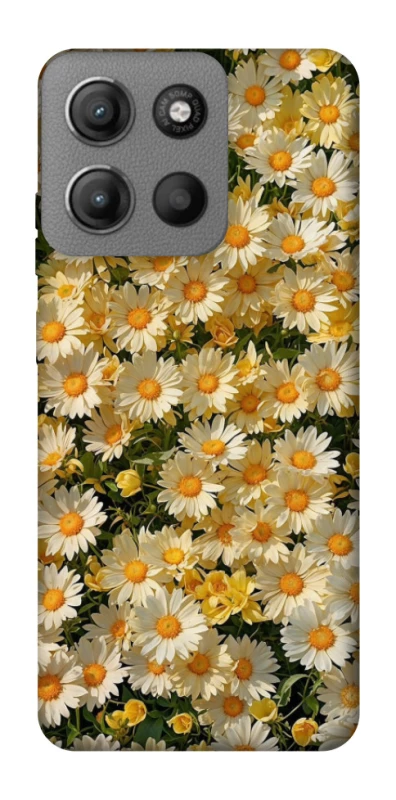 Чохол на Motorola Moto G15 Power Camomile фото 1 з 1