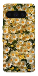Чехол на Google Pixel 8 Pro Camomile фото 1 из 1