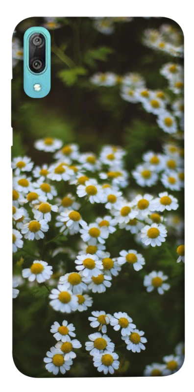 Чехол на Huawei Y6 Pro (2019) Ромашки v13 фото 1 из 1